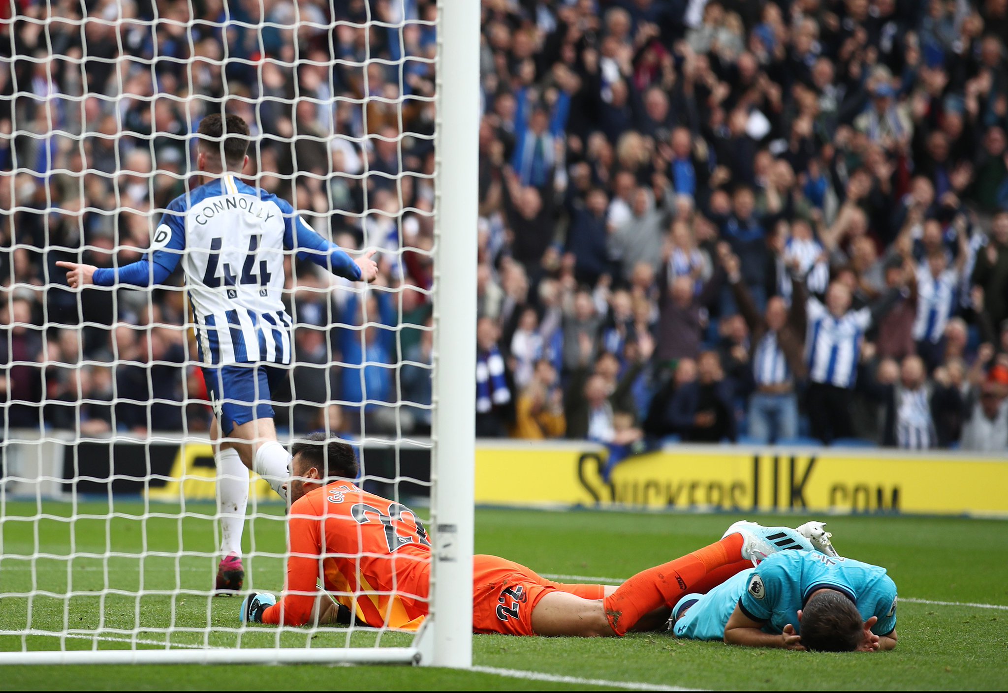 主教练杨鸣 主教练杨鸣